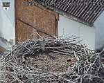 Capi_Dubne_20260827_162006.jpg