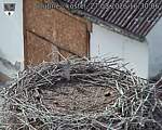 Capi_Dubne_20260827_163006.jpg