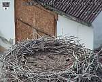 Capi_Dubne_20260827_163504.jpg