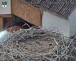 Capi_Dubne_20260827_164506.jpg