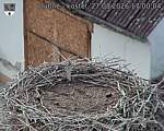 Capi_Dubne_20260827_170004.jpg