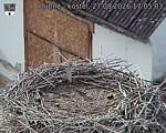Capi_Dubne_20260827_170503.jpg