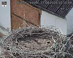 Capi_Dubne_20260827_171004.jpg