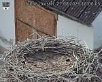 Capi_Dubne_20260827_180005.jpg