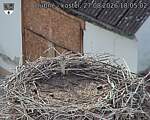 Capi_Dubne_20260827_180502.jpg