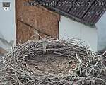 Capi_Dubne_20260827_181504.jpg
