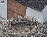 Capi_Dubne_20260827_182503.jpg