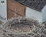 Capi_Dubne_20260827_183003.jpg