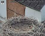 Capi_Dubne_20260827_183503.jpg
