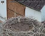 Capi_Dubne_20260827_191003.jpg
