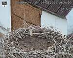 Capi_Dubne_20260827_192503.jpg