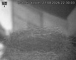 Capi_Dubne_20260827_223003.jpg