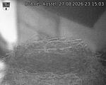 Capi_Dubne_20260827_231503.jpg