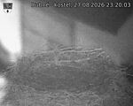 Capi_Dubne_20260827_232003.jpg