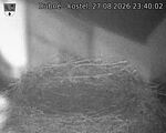 Capi_Dubne_20260827_234002.jpg