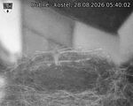 Capi_Dubne_20260828_054002.jpg
