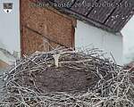 Capi_Dubne_20260828_065503.jpg