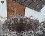 Capi_Dubne_20260828_085503.jpg