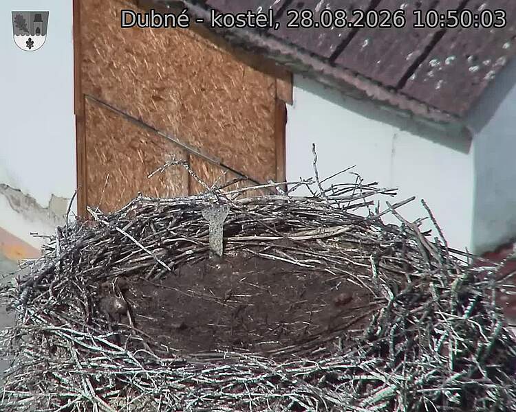 preload