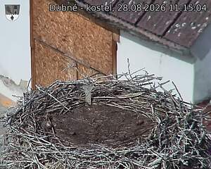 preload