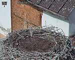 Capi_Dubne_20260828_113003.jpg