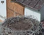 Capi_Dubne_20260828_122004.jpg