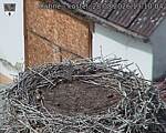 Capi_Dubne_20260828_131004.jpg