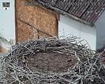 Capi_Dubne_20260828_135003.jpg