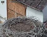 Capi_Dubne_20260828_135503.jpg