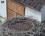 Capi_Dubne_20260828_140502.jpg