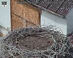 Capi_Dubne_20260828_141004.jpg