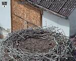 Capi_Dubne_20260828_142003.jpg