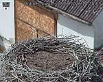 Capi_Dubne_20260828_143503.jpg