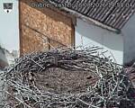 Capi_Dubne_20260828_145004.jpg