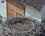 Capi_Dubne_20260828_152003.jpg
