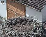 Capi_Dubne_20260828_153004.jpg