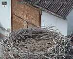 Capi_Dubne_20260828_154503.jpg