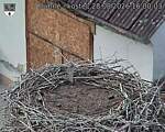 Capi_Dubne_20260828_160003.jpg