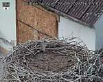 Capi_Dubne_20260828_160502.jpg