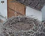 Capi_Dubne_20260828_161003.jpg