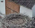 Capi_Dubne_20260828_165003.jpg