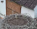 Capi_Dubne_20260828_172503.jpg