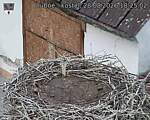 Capi_Dubne_20260828_182502.jpg