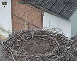 Capi_Dubne_20260828_185503.jpg