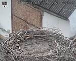Capi_Dubne_20260828_192503.jpg