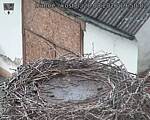 Capi_Dubne_20260828_195002.jpg