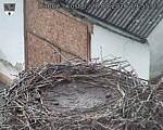 Capi_Dubne_20260828_195503.jpg
