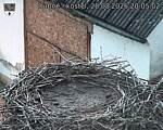 Capi_Dubne_20260828_200502.jpg