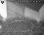 Capi_Dubne_20260828_202503.jpg