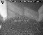 Capi_Dubne_20260828_204003.jpg